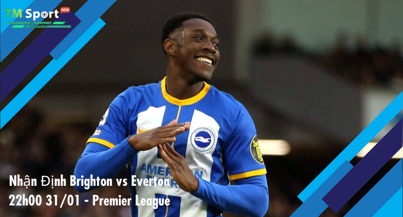 Đội hình dự kiến trước trận Brighton vs Everton Đội hình dự kiến trước trận Brighton vs Everton