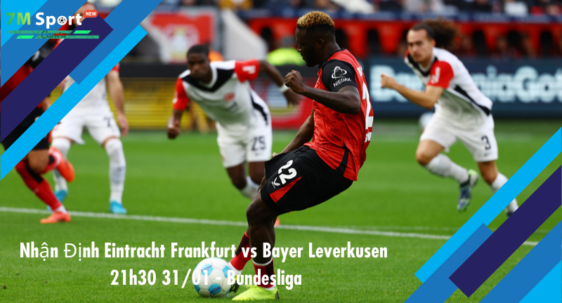 Đội hình dự kiến trước trận Eintracht Frankfurt vs Bayer Leverkusen Đội hình dự kiến trước trận Eintracht Frankfurt vs Bayer Leverkusen